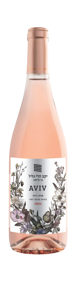 אביב רוזה